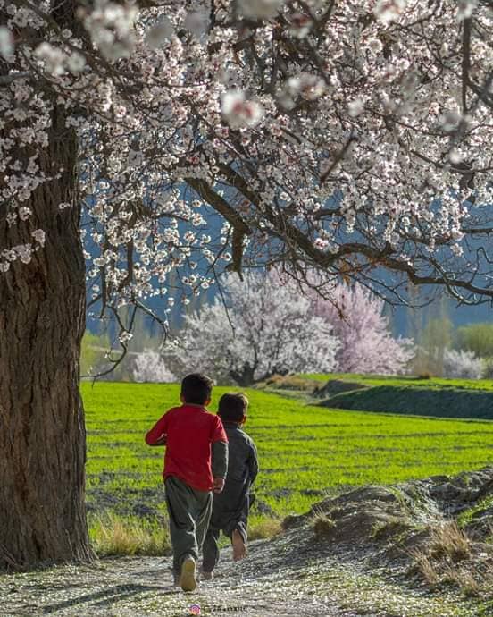 Traveling Safely and Meaningfully in 2026